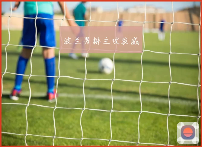 波兰男排主攻发威