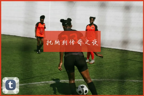 托纳利传奇之夜