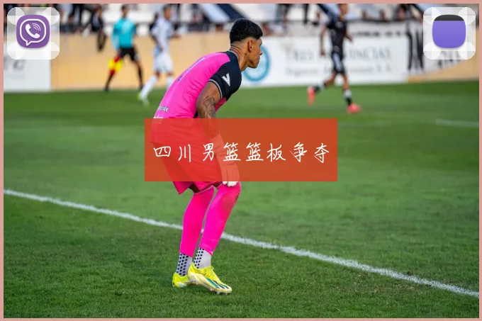 四川男篮篮板争夺