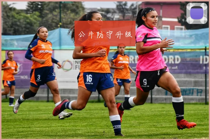 公牛防守升级
